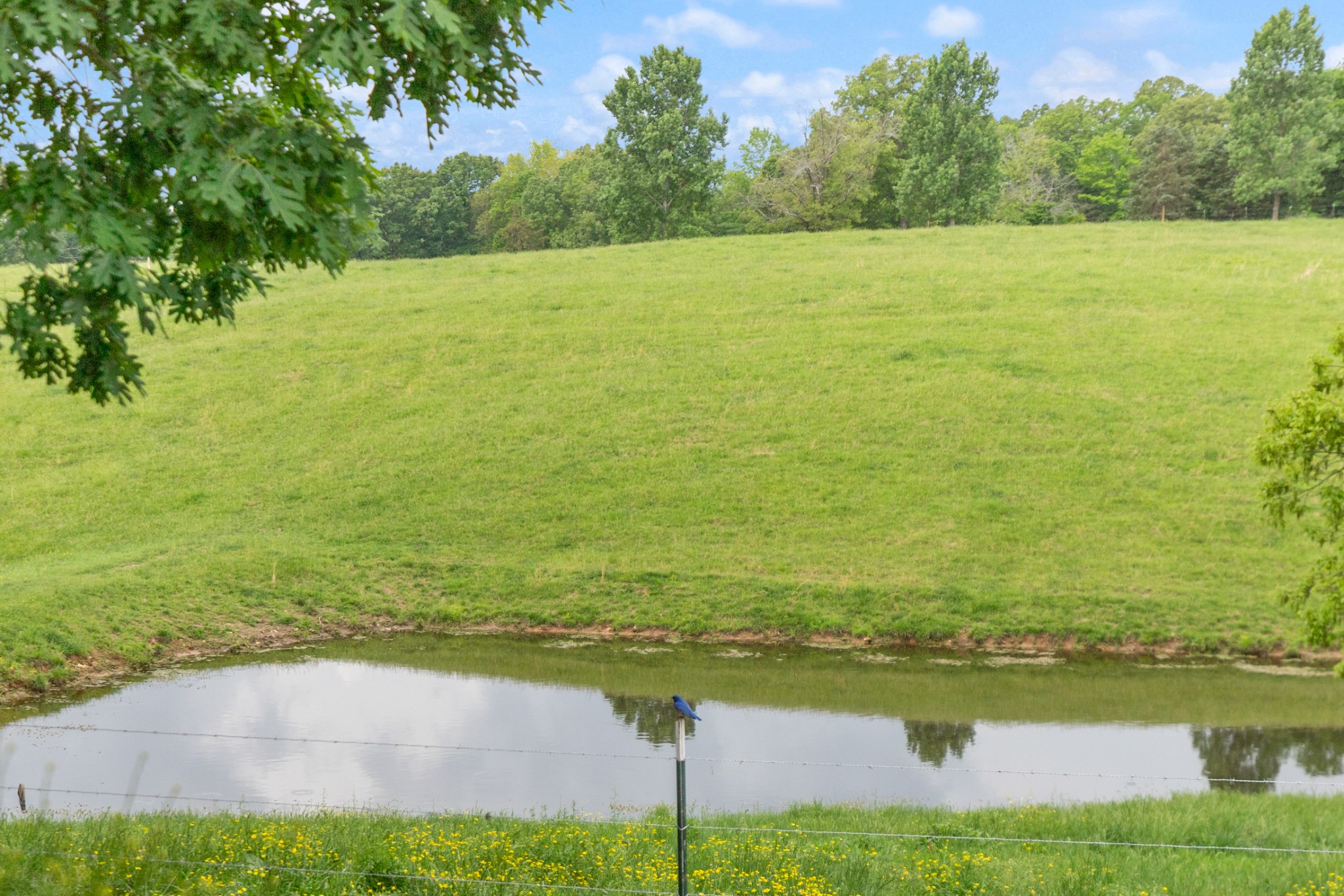 532 South Tidwell Road Bon Aqua, TN 37025 - Photo 78 of 100