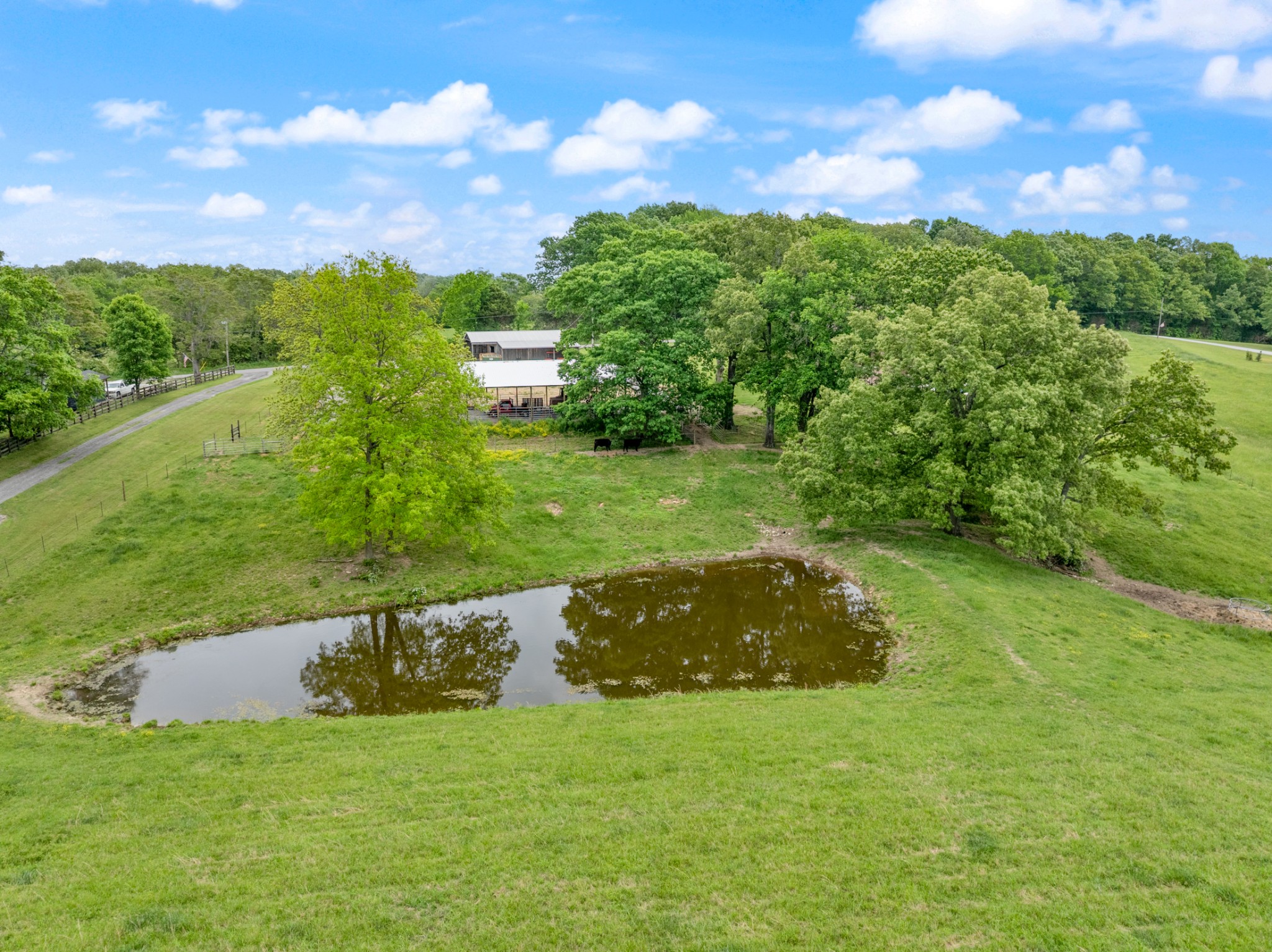 532 South Tidwell Road Bon Aqua, TN 37025 - Photo 94 of 100 a view of a big yard with plants and a view of a garden