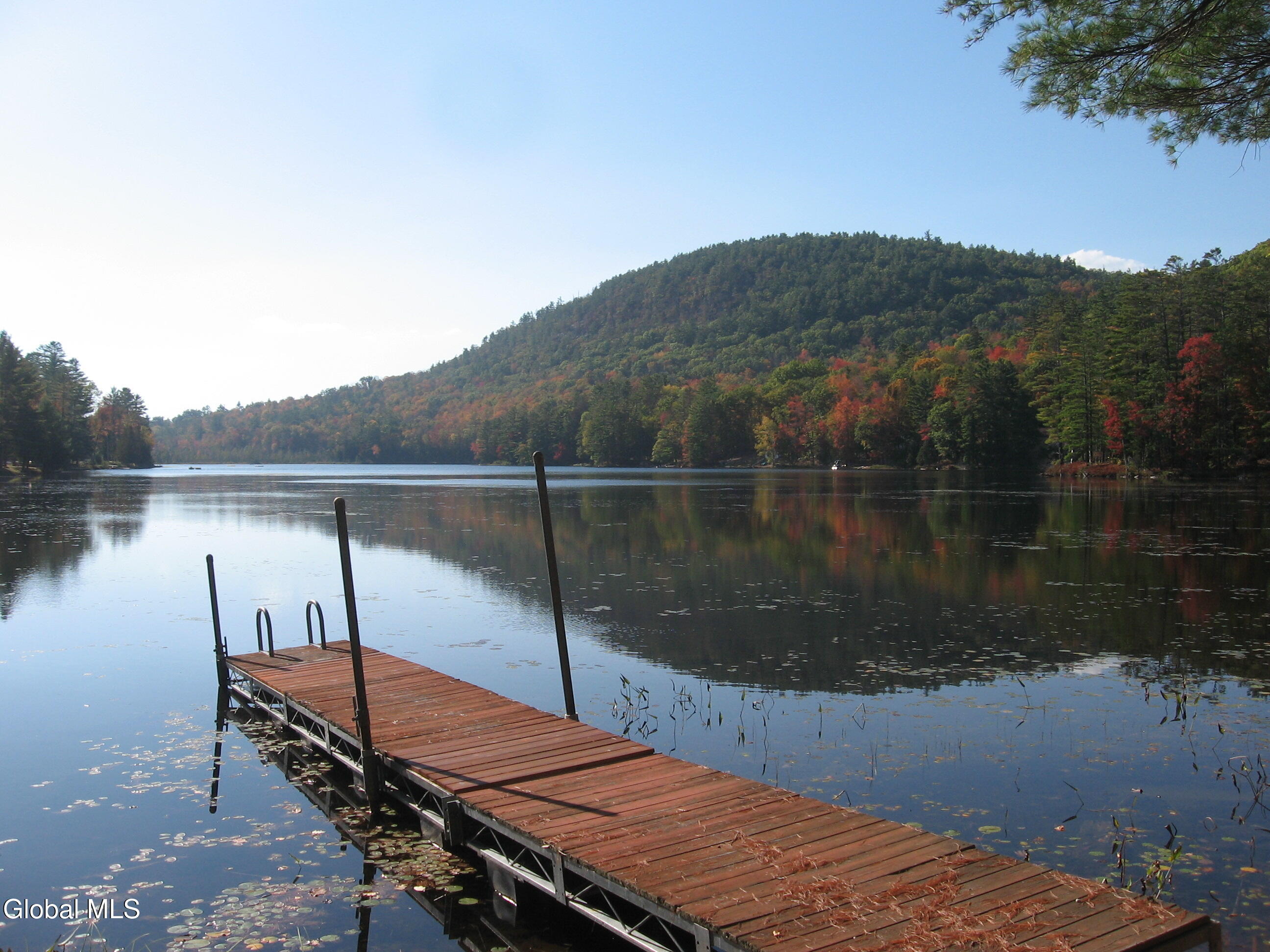 Beaver Pond
