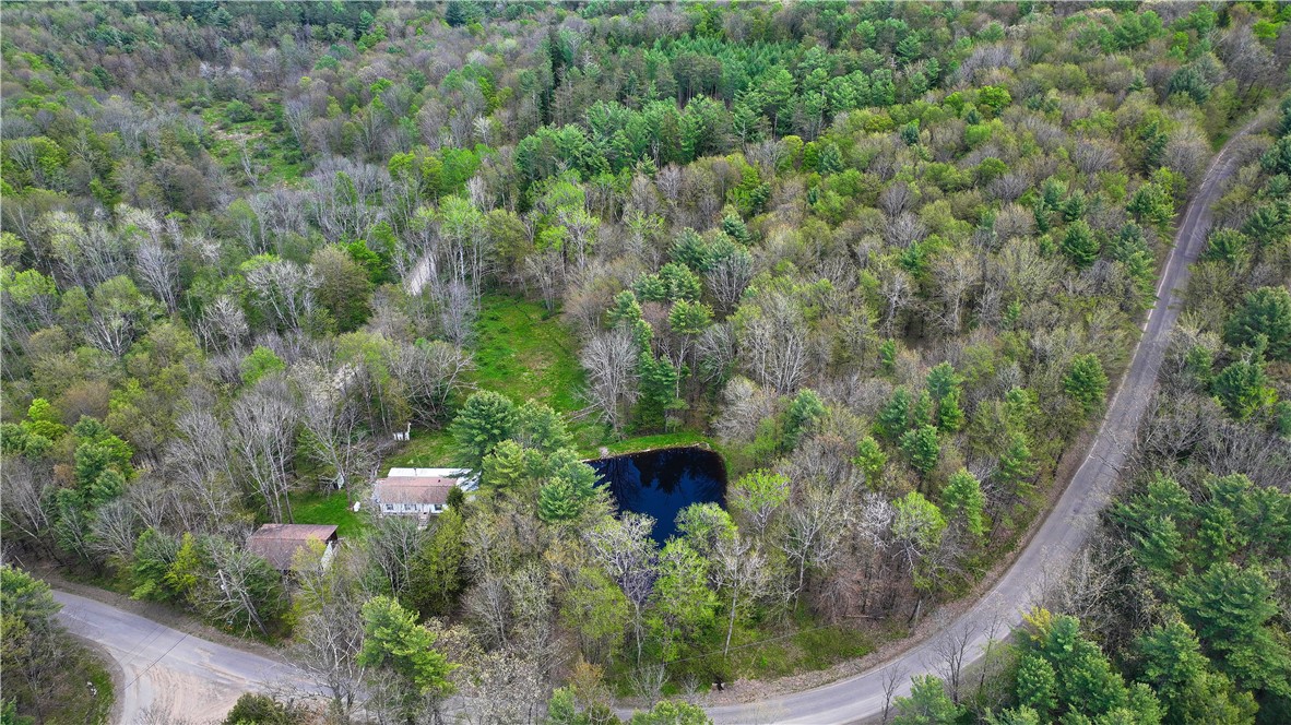 480 Buckley Hill Road Coventry, NY 13730 - Photo 39 of 39