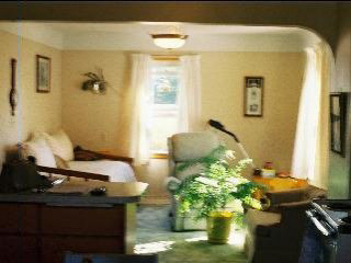 1112 Nieman Road Dundee, MI 48131 - Photo 15 of 17 671539-14.JPG