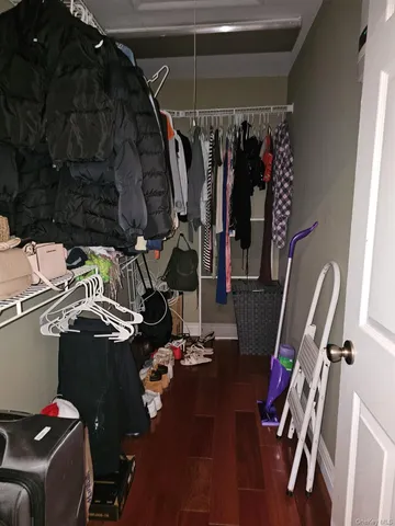 a view of walk in closet with clothes and shoes