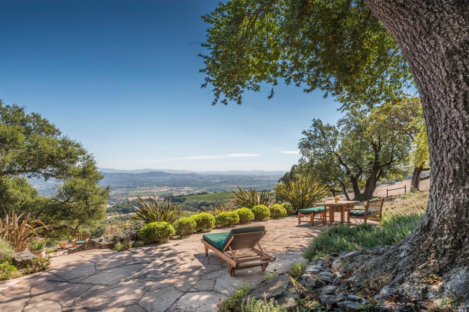 19501 Brooklime Sonoma, CA 95476 - Photo 1 of 1 a view of a yard with plants and large trees