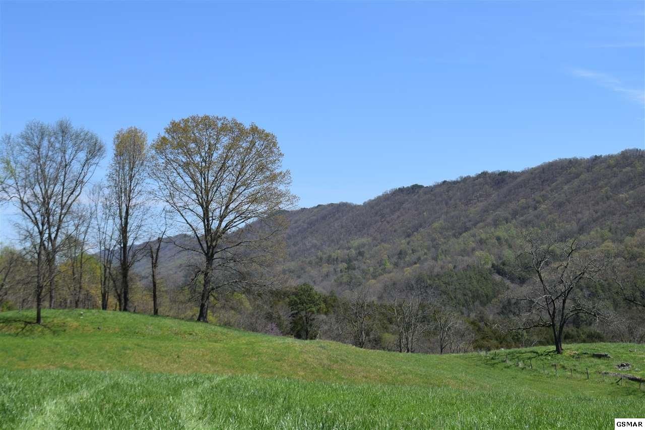 617 War Creek Road Eidson, TN 37731 - Photo 30 of 35