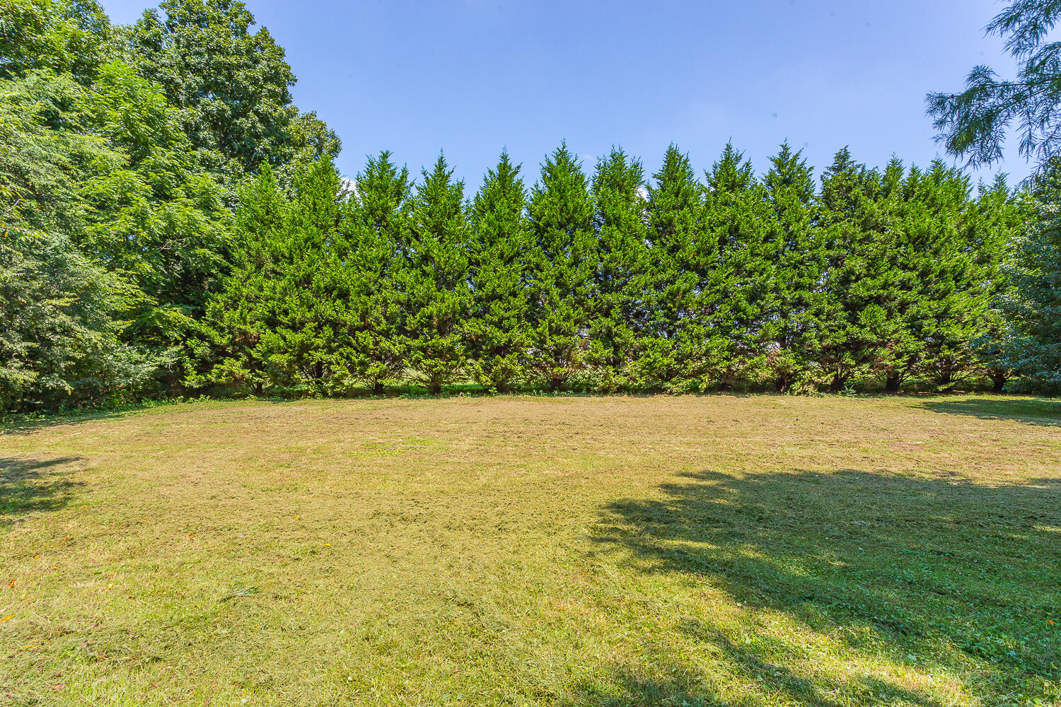 426 Gordon Pond Road LaFayette, GA 30728 - Photo 21 of 25 426 Gordon Pond Road HD -8