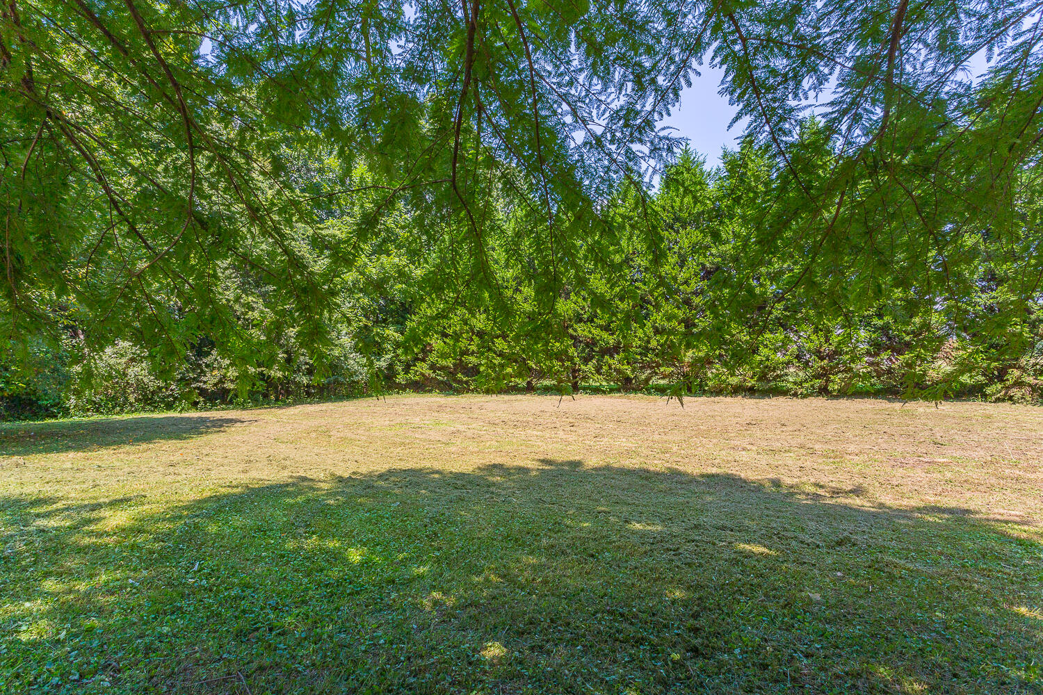 426 Gordon Pond Road LaFayette, GA 30728 - Photo 23 of 25 426 Gordon Pond Road HD -9