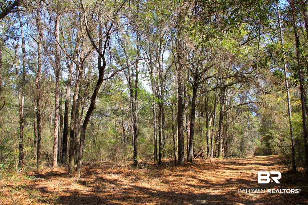 0 County Road 49 Loxley, AL 36551 - Photo 22 of 33