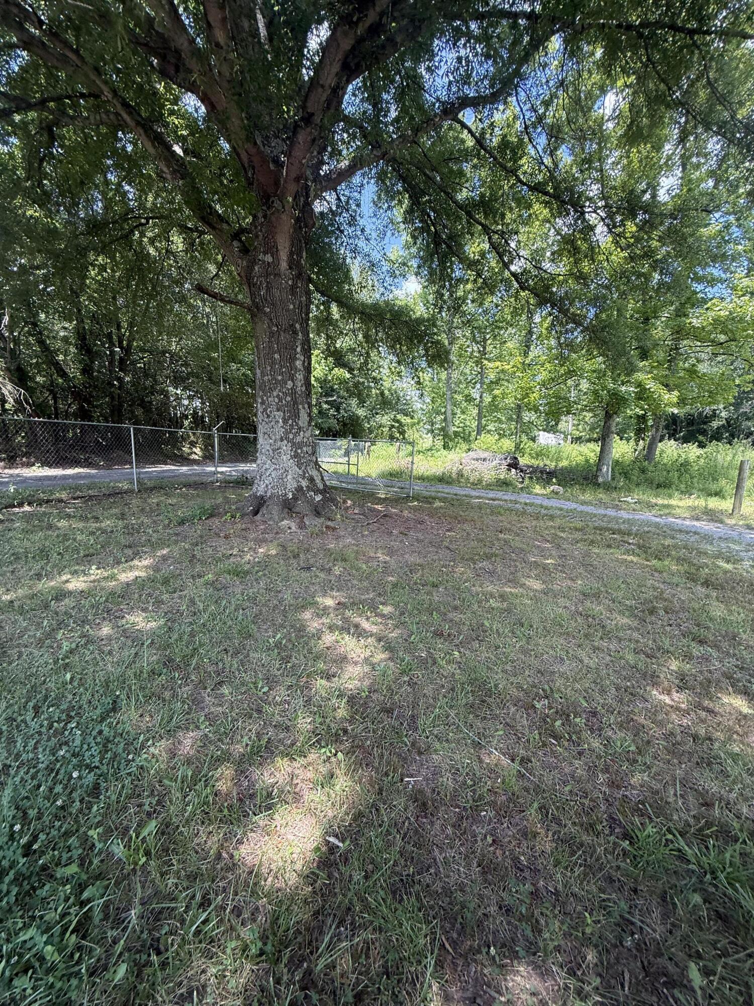 202 County Road, Unit 713 Higdon, AL 35979 - Photo 20 of 22 IMG_7610