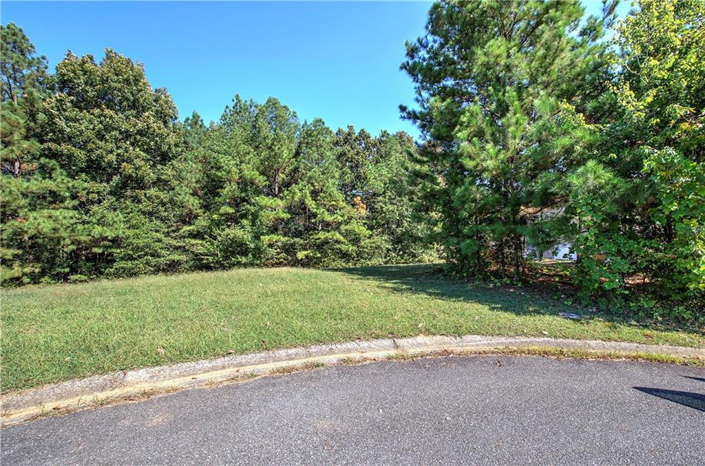 58 Ferguson Drive Euharlee, GA 30145 - Photo 2 of 16 a view of a yard with a tree