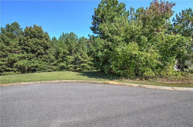 a view of a big yard with plants and large trees