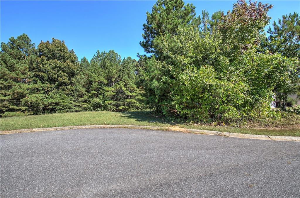 58 Ferguson Drive Euharlee, GA 30145 - Photo 3 of 16 a view of a big yard with plants and large trees