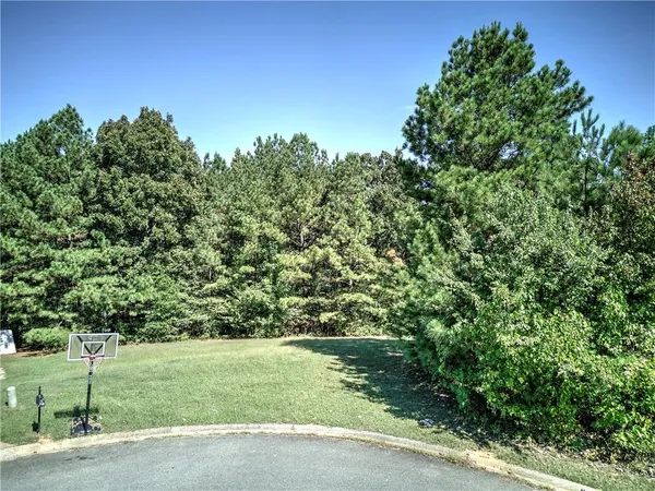 a view of a yard with a tree