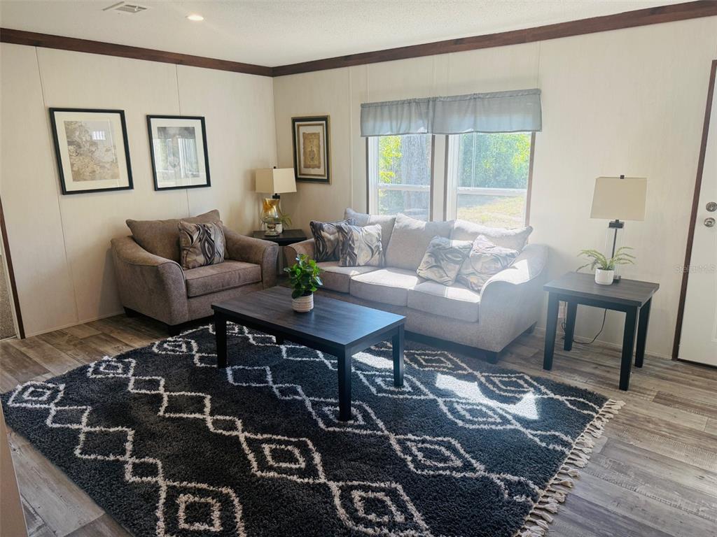 843 Southwest Central Terrace Fort White, FL 32038 - Photo 20 of 30 a living room with furniture and a rug
