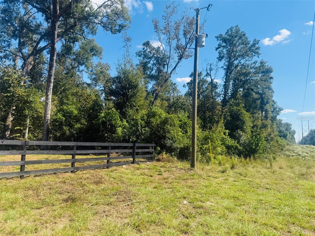 843 Southwest Central Terrace Fort White, FL 32038 - Photo 4 of 30 a view of a backyard