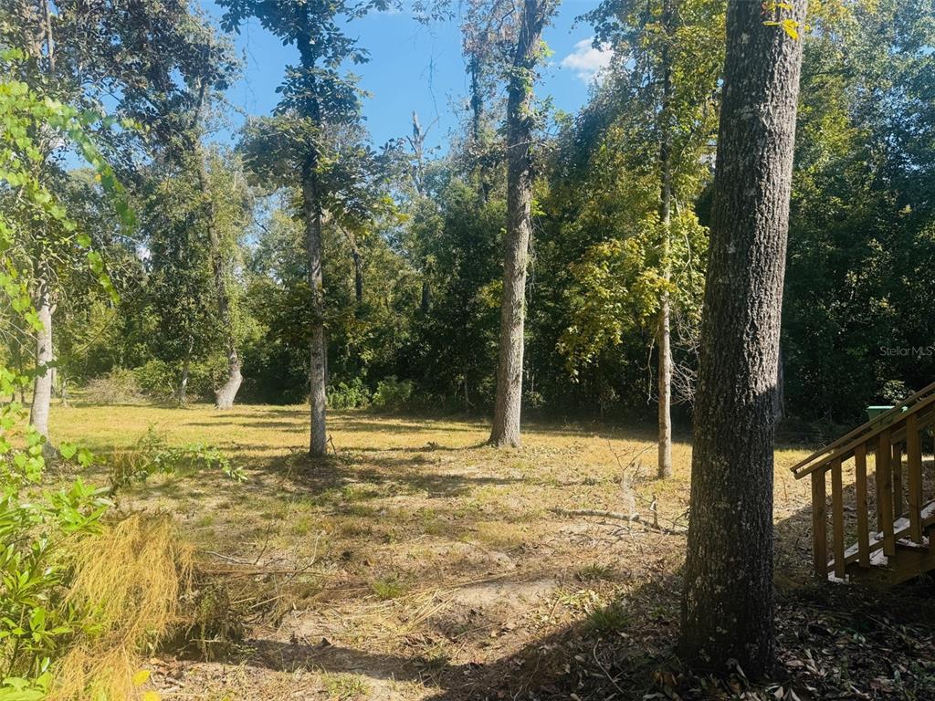 843 Southwest Central Terrace Fort White, FL 32038 - Photo 5 of 30 a view of a yard with trees