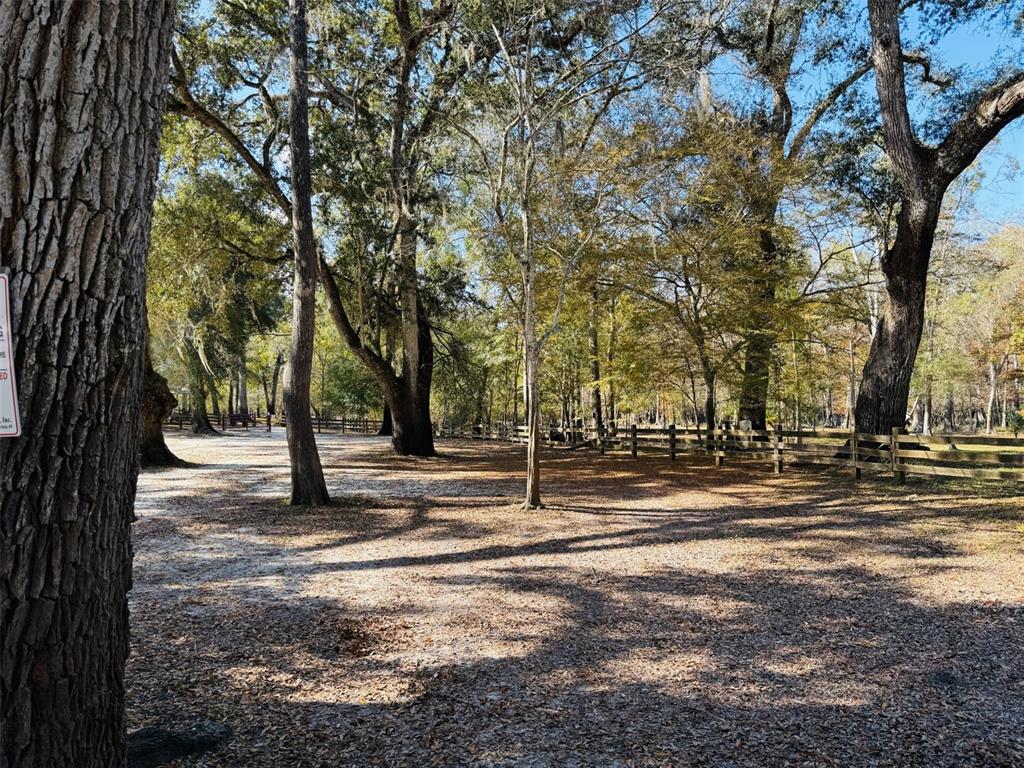 843 Southwest Central Terrace Fort White, FL 32038 - Photo 9 of 30 a view of a trees with a yard