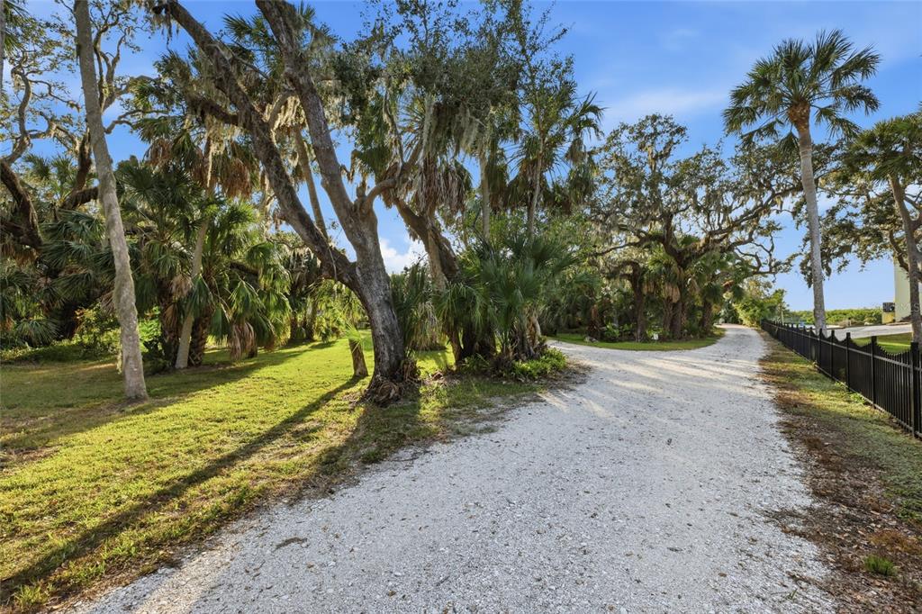 6511 Bayshore Road Palmetto, FL 34221 - Photo 5 of 53 a view of a yard with swimming pool
