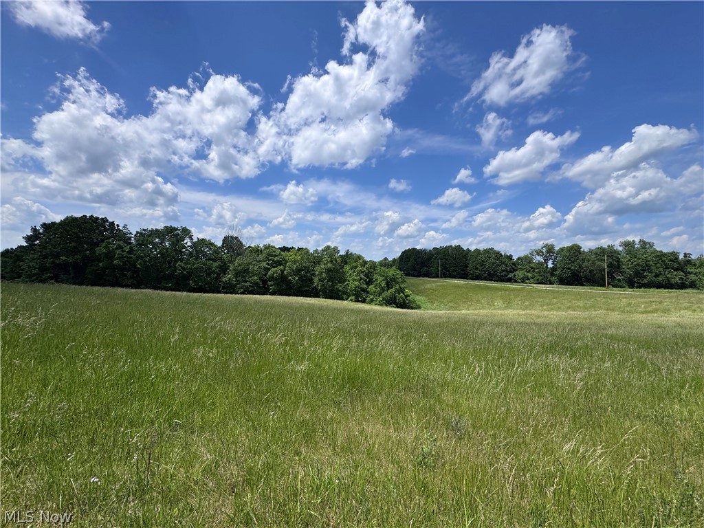 Johnson Ridge Road, Unit 4 6 Stockport, OH 43787 - Photo 14 of 16