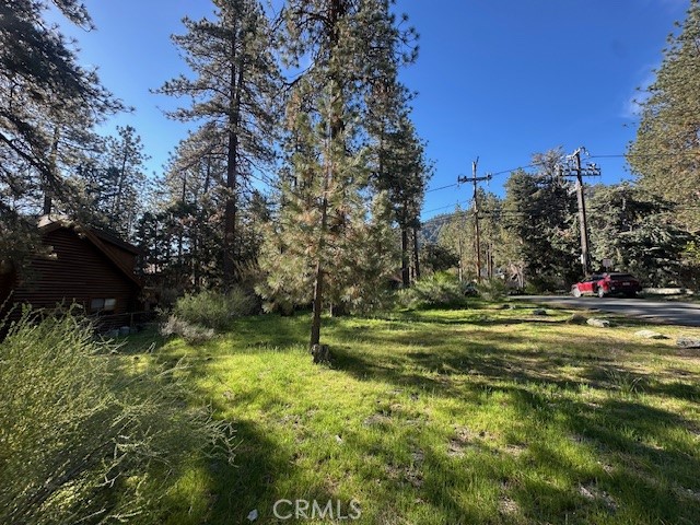 0 Twin Lakes Road Wrightwood, CA 92397 - Photo 2 of 9 a view of a garden with an trees