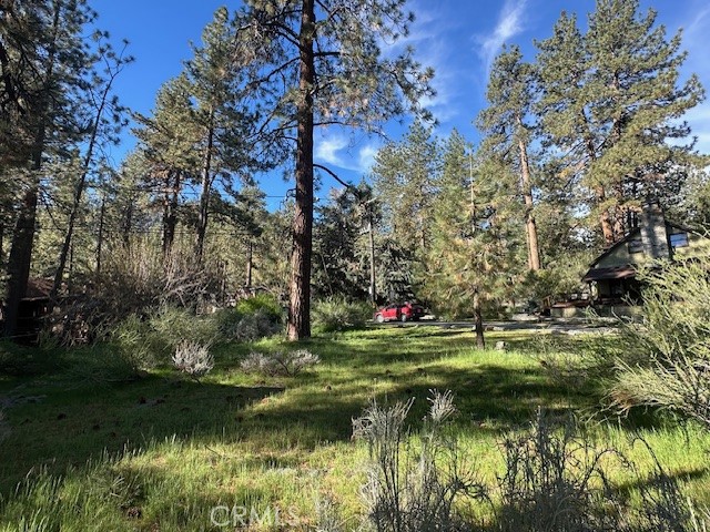 0 Twin Lakes Road Wrightwood, CA 92397 - Photo 3 of 9 a view of a golf course with a lake
