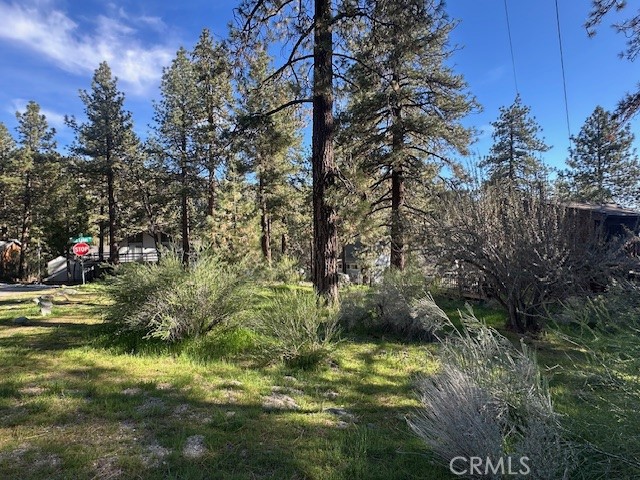 0 Twin Lakes Road Wrightwood, CA 92397 - Photo 4 of 9 a view of street view