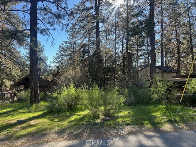 0 Twin Lakes Road Wrightwood, CA 92397 - Photo 5 of 9 a view of a garden with a tree