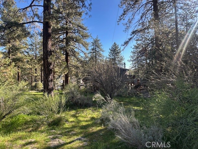 0 Twin Lakes Road Wrightwood, CA 92397 - Photo 7 of 9