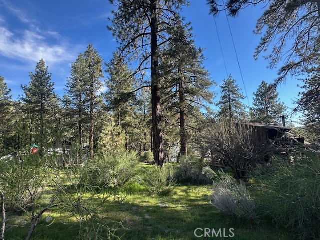 0 Twin Lakes Road Wrightwood, CA 92397 - Photo 8 of 9 a view of a garden with large trees