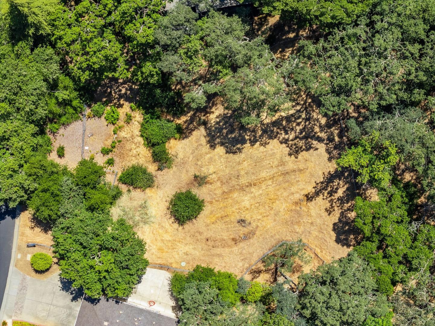 403 Montclair Road Los Gatos, CA 95032 - Photo 11 of 12 a view of a tree with a yard