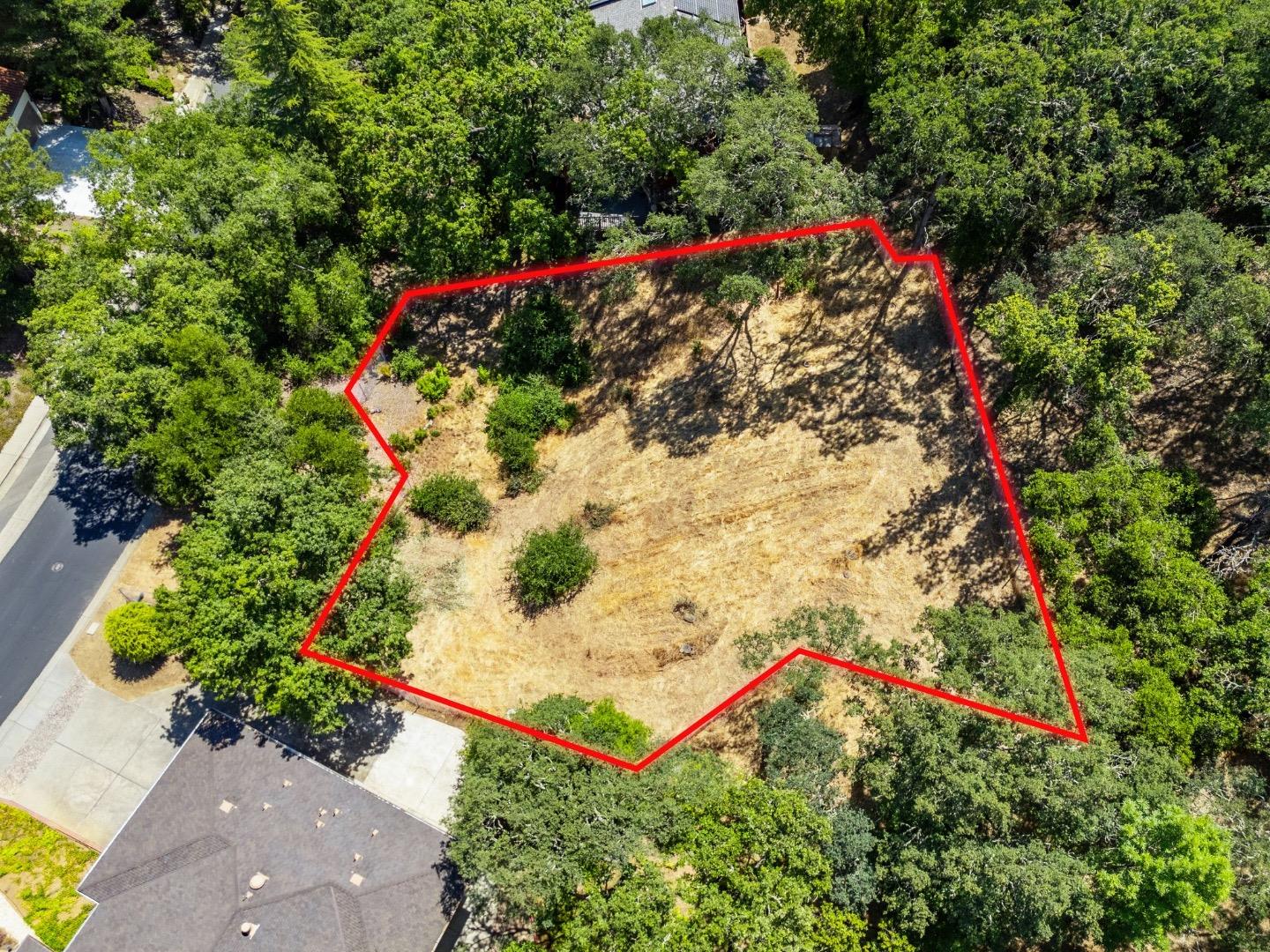 403 Montclair Road Los Gatos, CA 95032 - Photo 12 of 12 a view of a bird bath