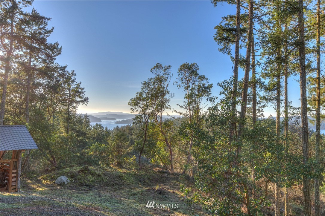 205 Gibbs Road Orcas Island, WA 98280 - Photo 13 of 39 Gallery Image 13