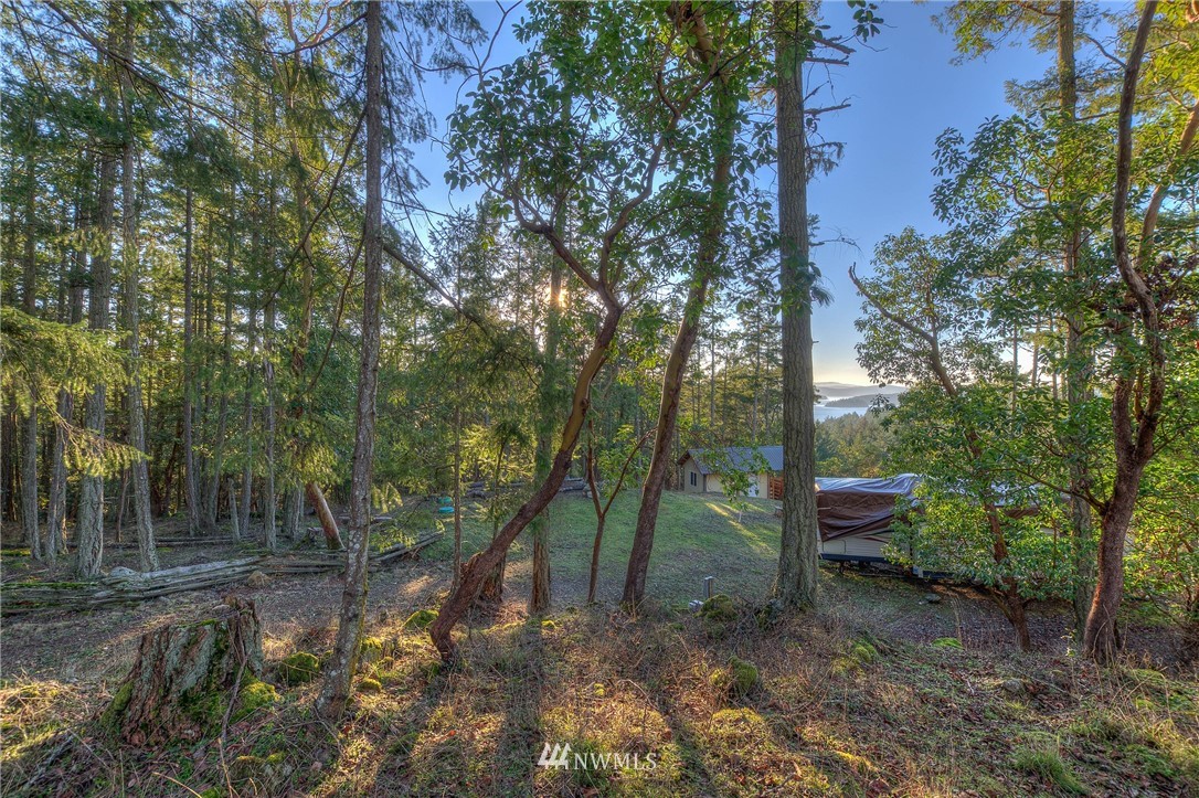 205 Gibbs Road Orcas Island, WA 98280 - Photo 16 of 39 Gallery Image 16