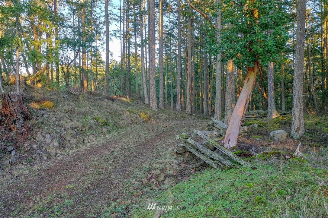 205 Gibbs Road Orcas Island, WA 98280 - Photo 18 of 39 Gallery Image 18
