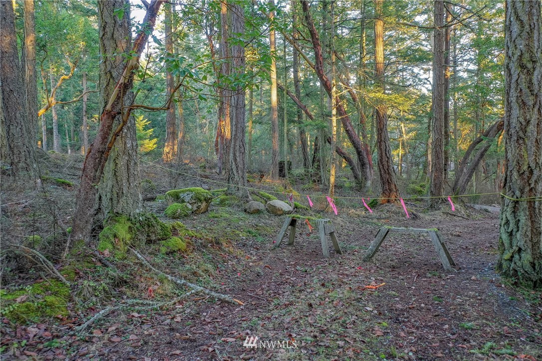 205 Gibbs Road Orcas Island, WA 98280 - Photo 19 of 39 Gallery Image 19