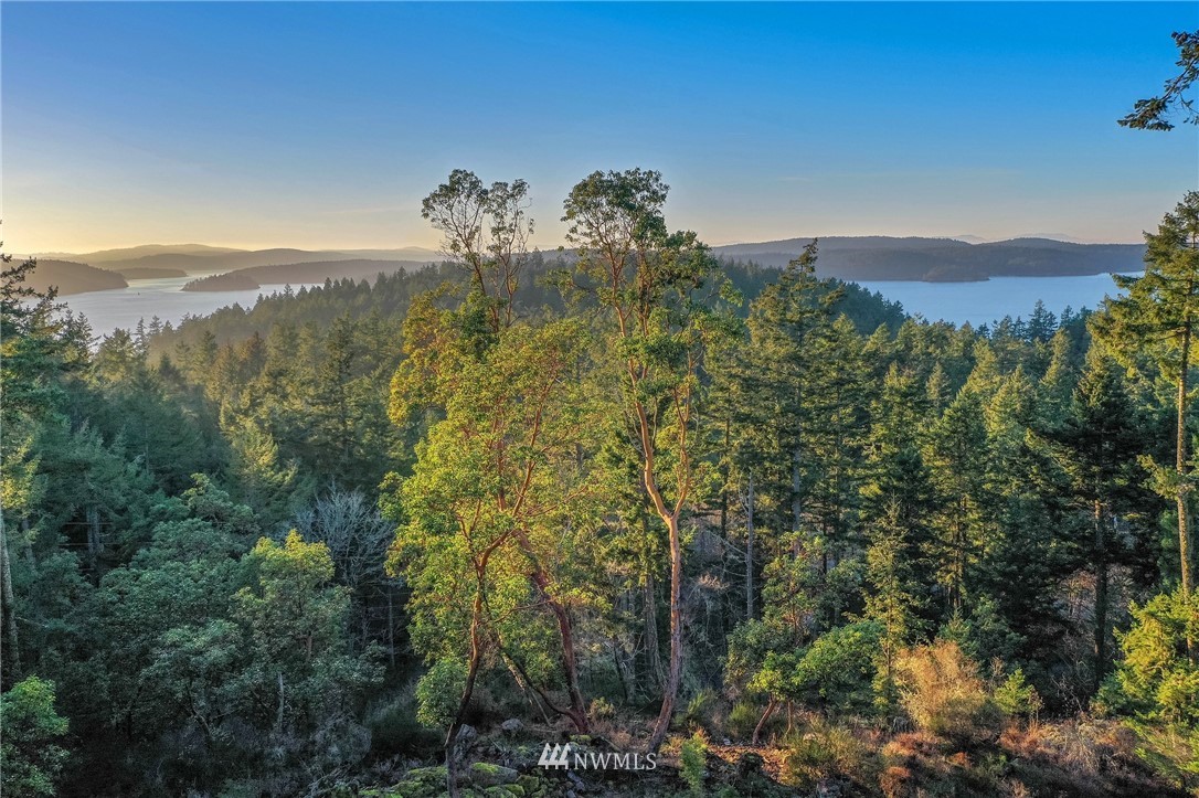 205 Gibbs Road Orcas Island, WA 98280 - Photo 3 of 39 Gallery Image 3