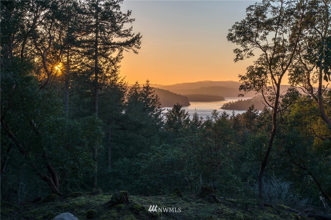 205 Gibbs Road Orcas Island, WA 98280 - Photo 24 of 39 Gallery Image 24
