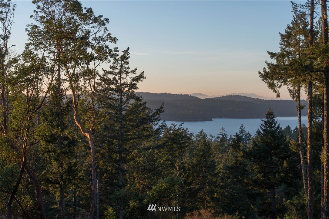 205 Gibbs Road Orcas Island, WA 98280 - Photo 25 of 39 Gallery Image 25