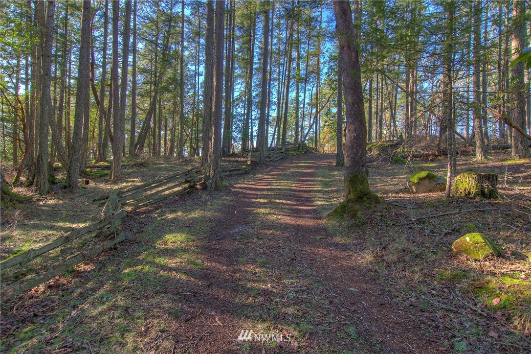 205 Gibbs Road Orcas Island, WA 98280 - Photo 26 of 39 Gallery Image 26