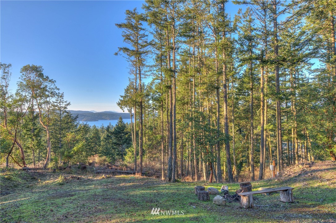 205 Gibbs Road Orcas Island, WA 98280 - Photo 30 of 39 Gallery Image 30