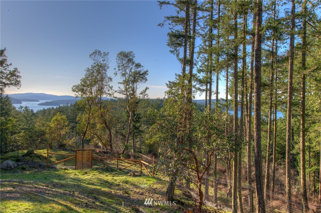 205 Gibbs Road Orcas Island, WA 98280 - Photo 4 of 39 Gallery Image 4