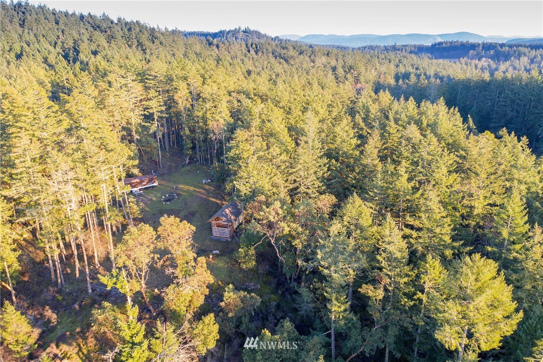 205 Gibbs Road Orcas Island, WA 98280 - Photo 5 of 39 Gallery Image 5