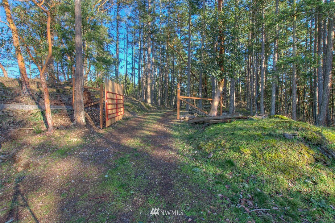 205 Gibbs Road Orcas Island, WA 98280 - Photo 8 of 39 Gallery Image 8