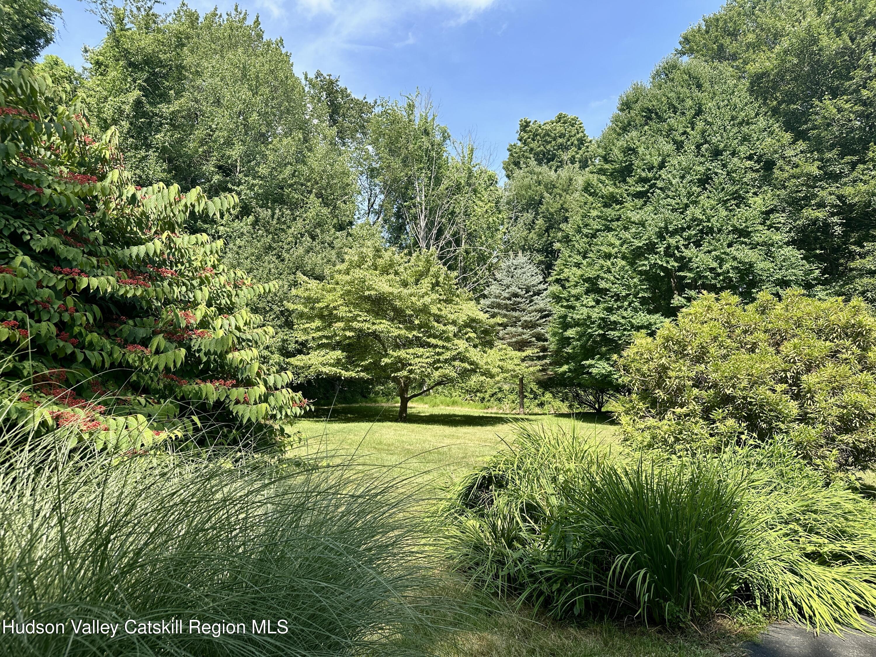 40 Stonewall Ridge Road Copake, NY 12516 - Photo 18 of 18 D98D934B-329A-4D19-8D41-F8AB28F657ED_1_2
