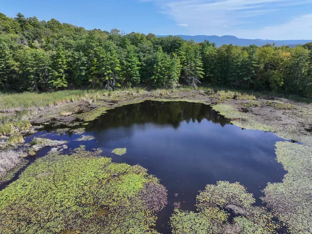 $549,000 | 2395 Burr Pond Road, Sudbury, VT 05733