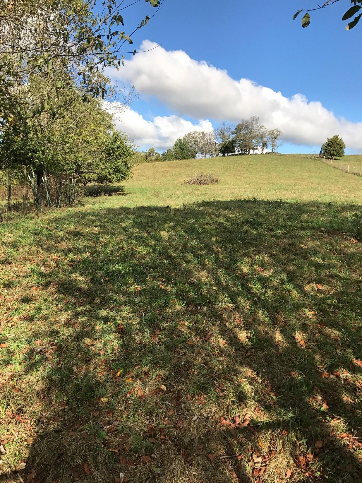 6762 Paint Lick Road Paint Lick, KY 40461 - Photo 9 of 18 Photo 9