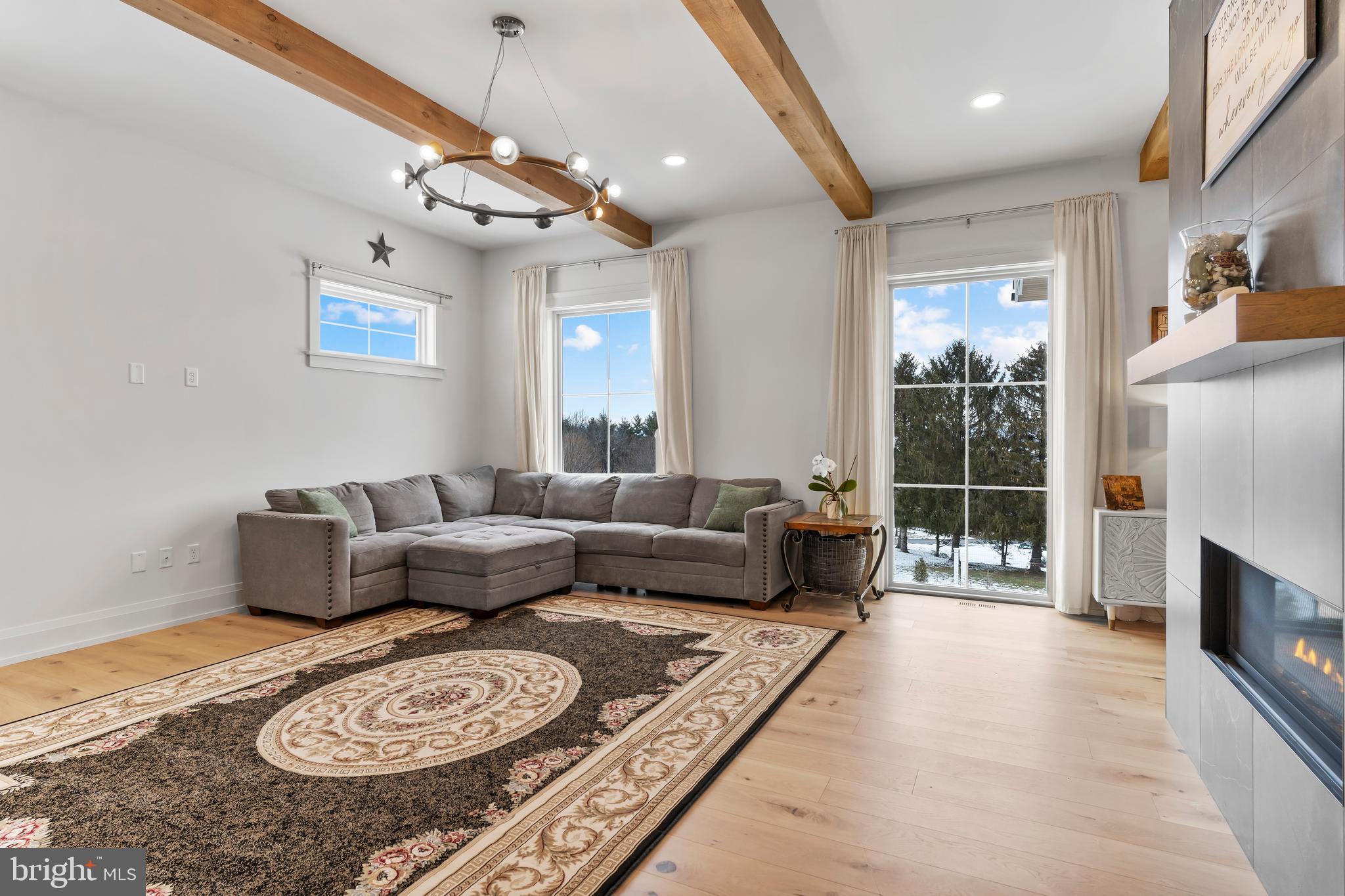 1 Strawberry Lane Lititz, PA 17543 - Photo 43 of 80 a living room with furniture a fireplace and a flat screen tv