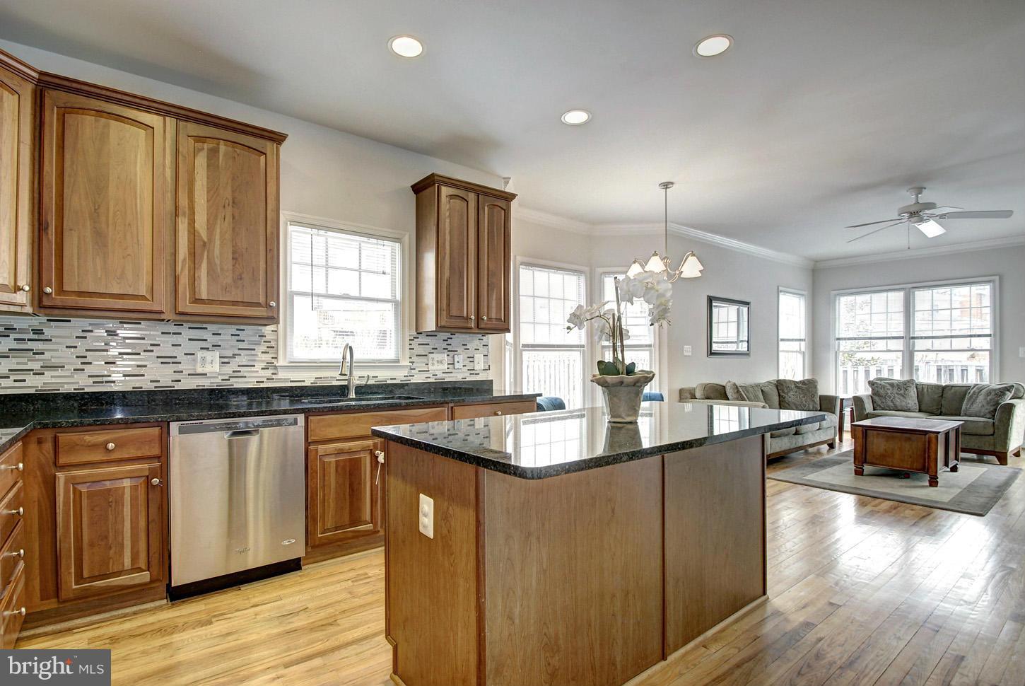 2173 South Glebe Road Arlington, VA 22206 - Photo 6 of 30 Custom Backsplash and Recess Lighting