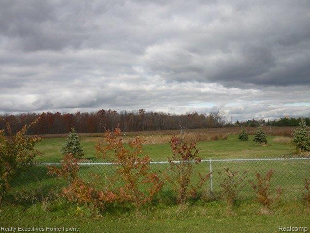 9570 Avoca Road Avoca, MI 48006 - Photo 5 of 35 P1220317.JPG