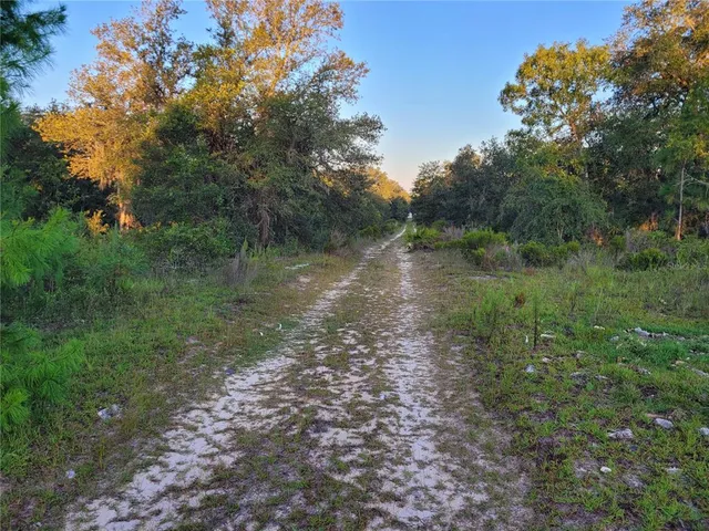 a view of a lake with green space