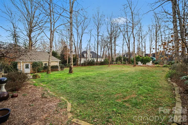 a view of a park with large trees